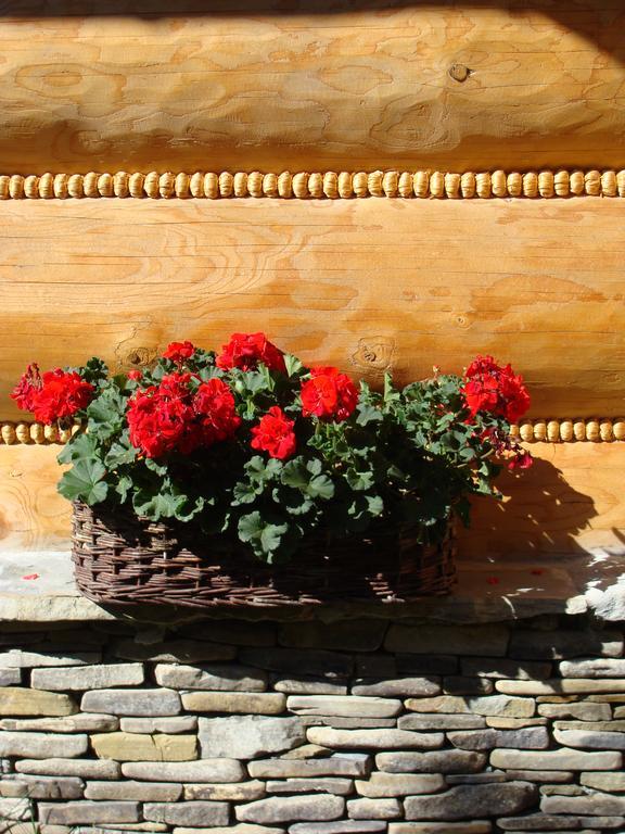 Villa Jedrus Zakopane Zimmer foto